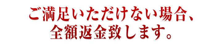 �W���W�����t�g�@�L�����y�[��